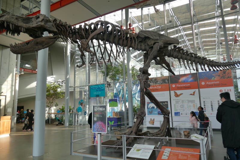 biggest dinosaur Steve biggest Tyrannosaurus biggest dinosaur Steve biggest Tyrannosaurus