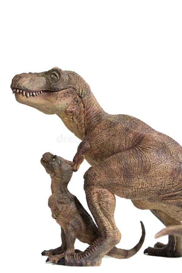Tyrannosaurus rex met baby t -t-rex op witte achtergrond stock fotografie Tyrannosaurus rex met baby t -t-rex op witte achtergrond stock fotografie