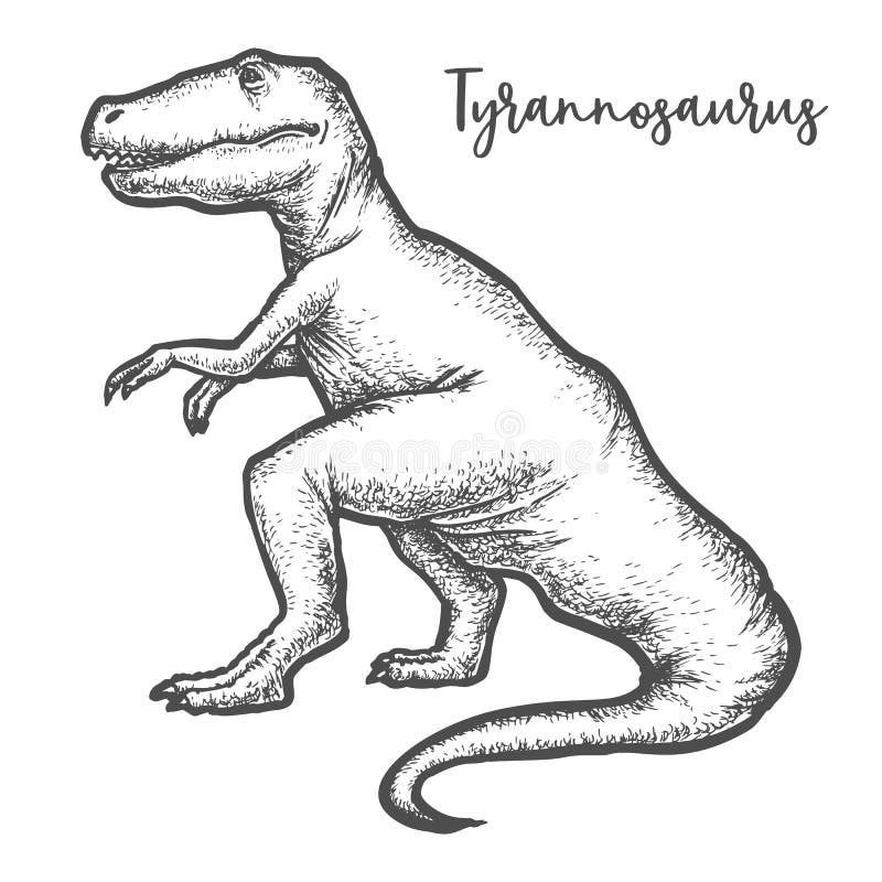 Tyrannosaurus rex esboço e silhueta ilustrações conjunto imagem