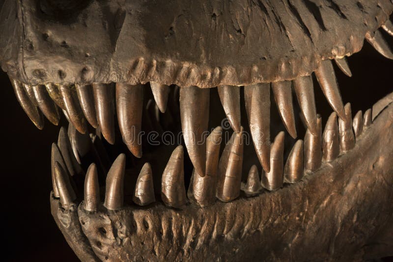 Tyrannosaurus Rex - Prähistorischer Dinosaurier lizenzfreies stockfoto