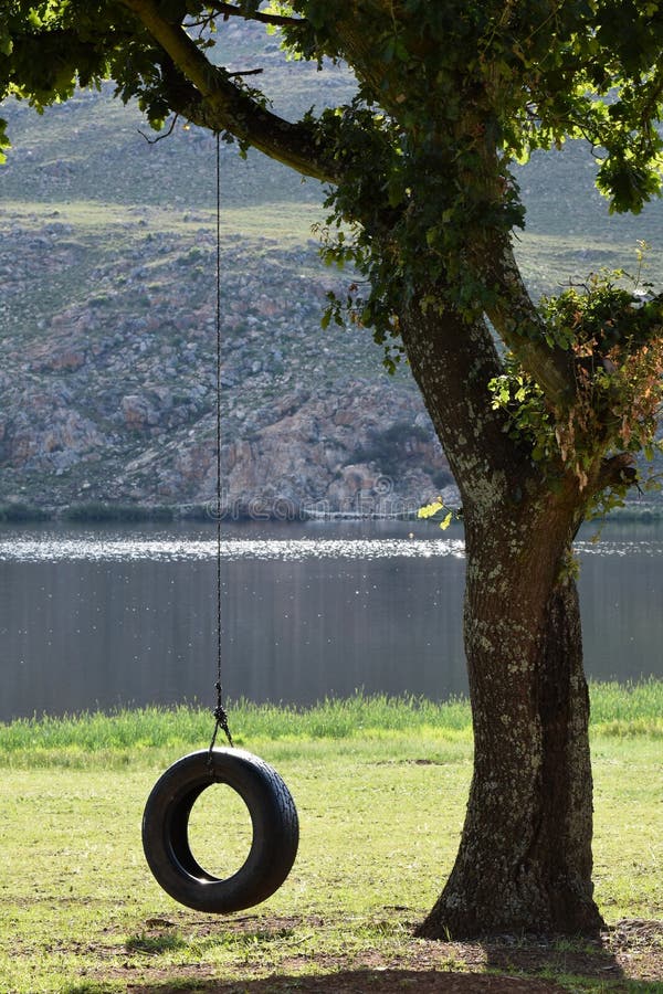 Tyre Rope Tree Swing by a Lake Stock Photo - Image of bark, nature:  145711330