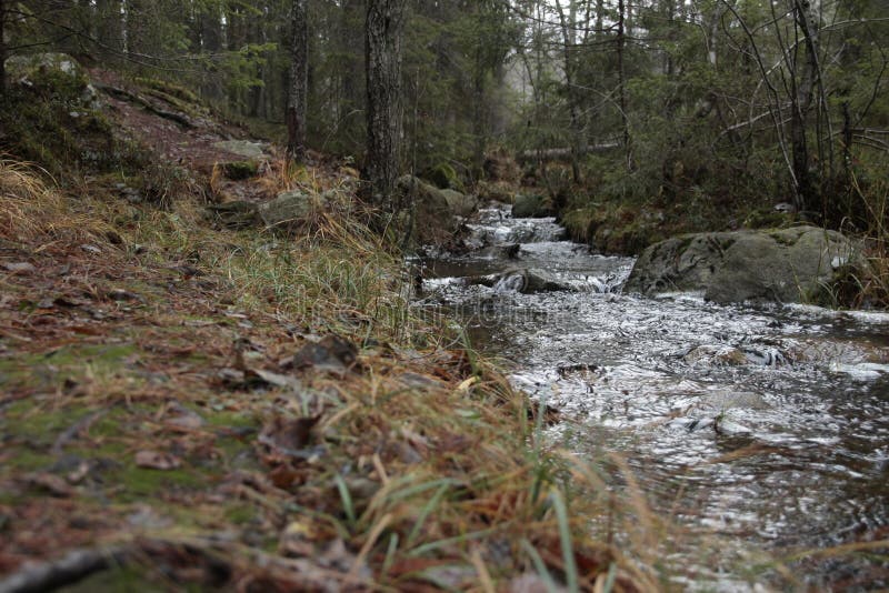 This national park must be one of my favourite place to take a break from the busy city life of Stockholm. This national park must be one of my favourite place to take a break from the busy city life of Stockholm