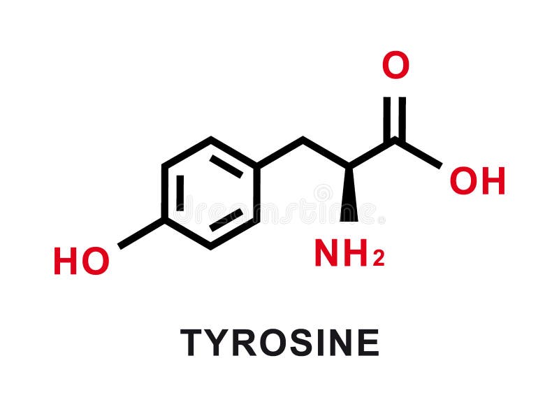 Tyrosine Chemical Formula. Tyrosine Chemical Molecular Structure