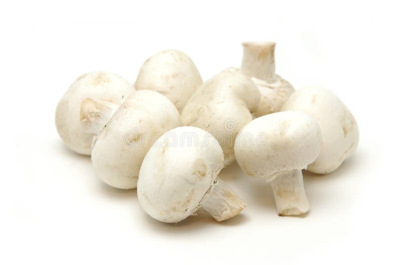 Close up of button mushrooms in isolated white background. Close up of button mushrooms in isolated white background