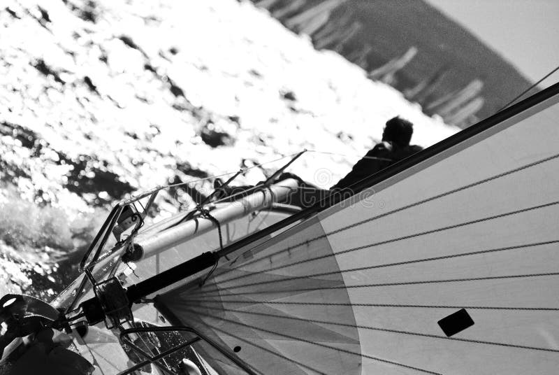 Sailboat race with a boat in backlight in a sunny day - strong wind during Barcolana regatta - converted in black and white for more drama - (Trieste, Italy 2007). Sailboat race with a boat in backlight in a sunny day - strong wind during Barcolana regatta - converted in black and white for more drama - (Trieste, Italy 2007)