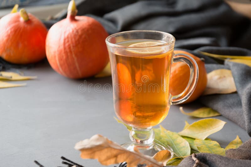 Tè caldo Natura morta di autunno, foglie variopinte, zucca del raccolto, sciarpa grigia per accogliente su fondo grigio pastello fotografia stock
