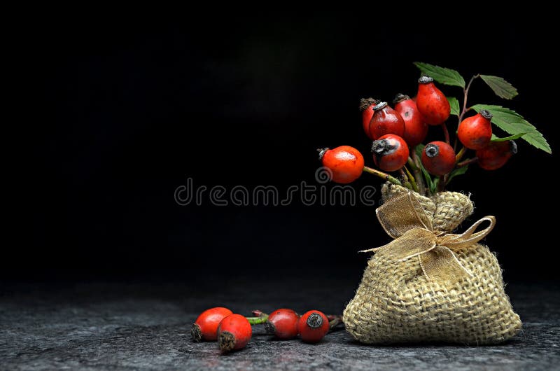 Tè con i cinorrodi immagine stock libera da diritti Tè con i cinorrodi immagine stock libera da diritti