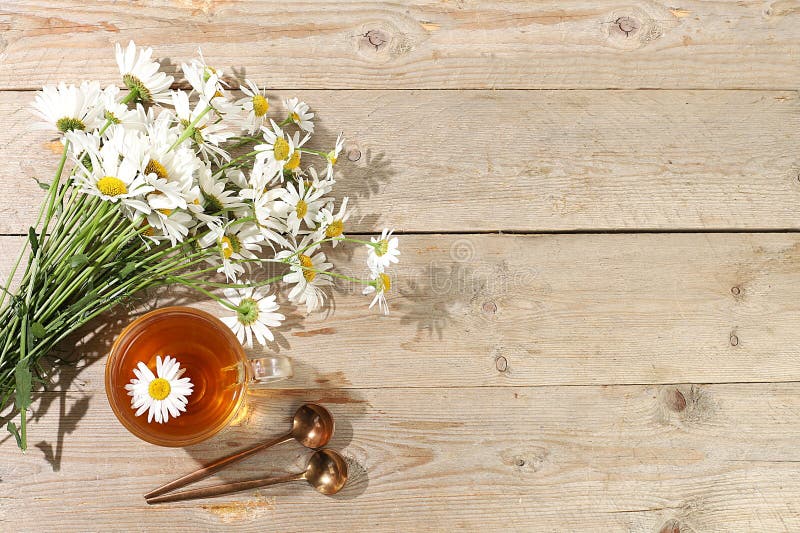 Tè di camomilla in una tazza trasparente con piccoli fiori di camomilla naturale su un tavolo rustico leggero il concetto di tè di. Tè di camomilla in una tazza trasparente con piccoli fiori naturali di camomilla su un tavolo rustico leggero il concetto di tè di erbe e di corretta alimentazione naturale messa a fuoco selettiva della cartolina