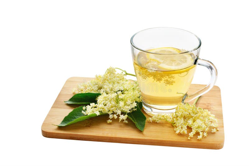 Tè e fiori di sambuco isolati immagine stock Tè e fiori di sambuco isolati immagine stock