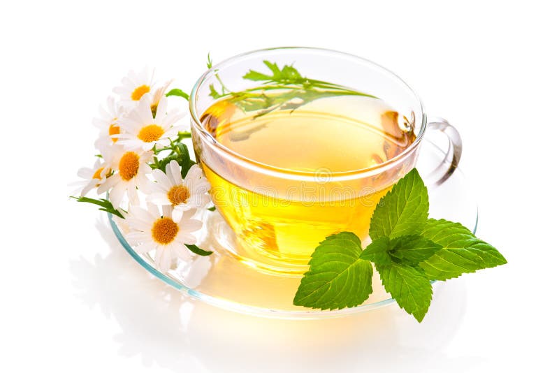 tè selettivo naturopathy di infusione di erbe di vetro del horsetail del fuoco del equisetum della tazza del arvense