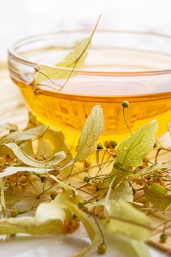 Té de la flor seca del cal-árbol imagen de archivo libre de regalías Té de la flor seca del cal-árbol imagen de archivo libre de regalías