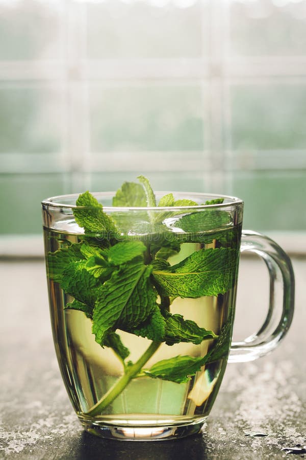 Té de la menta fresca cerca de la ventana Concepto acogedor del hogar o de la salud