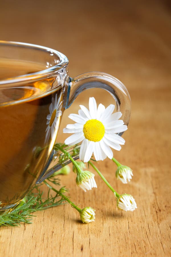 Té fresco de la manzanilla foto de archivo. Imagen de desayuno 26247866
