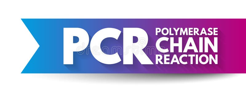 Técnica de laboratorio de reacción en cadena de la pcr polimerasa utilizada para amplificar las secuencias de adn acrónimo context ilustración del vector