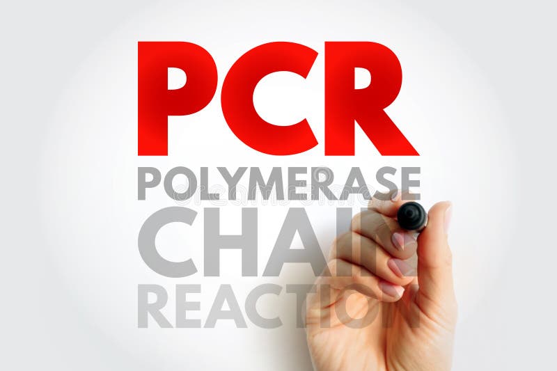 Técnica de laboratorio de reacción en cadena de la polimerasa de pcr utilizada para amplificar las secuencias de adn en el fondo d imagen de archivo libre de regalías