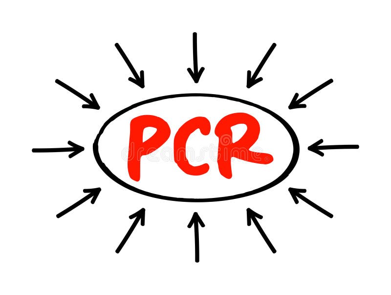 Técnica de laboratorio de reacción en cadena de la polimerasa de pcr utilizada para amplificar las secuencias de adn en texto de a ilustración del vector