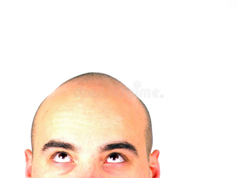 Tête chauve recherchant photos libres de droits Tête chauve recherchant photos libres de droits