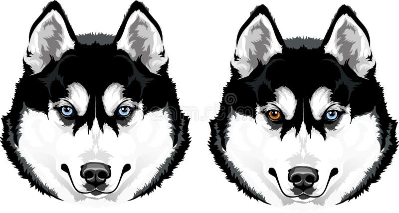 Tête de chien enrouée illustration stock Tête de chien enrouée illustration stock