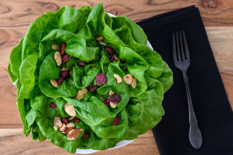 Tête de laitue fraîche de beurre avec l'amande coupée en tranches et le haut de forme sec de salade de canneberge, dans une cuvet images libres de droits Tête de laitue fraîche de beurre avec l'amande coupée en tranches et le haut de forme sec de salade de canneberge, dans une cuvet images libres de droits