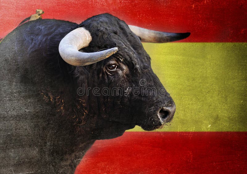 Tête espagnole de taureau avec de grands klaxons regardant dangereux d'isolement sur le drapeau de l'Espagne