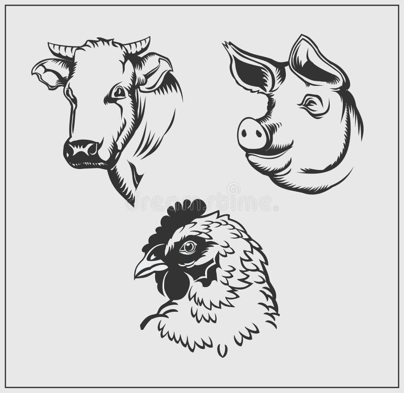 Têtes des animaux de ferme Vache, porc et poulet illustration stock Têtes des animaux de ferme Vache, porc et poulet illustration stock