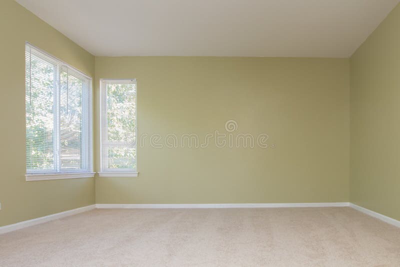 Empty room with 2 windows beige carpet floor blank walls fresh paint green. Empty room with 2 windows beige carpet floor blank walls fresh paint green