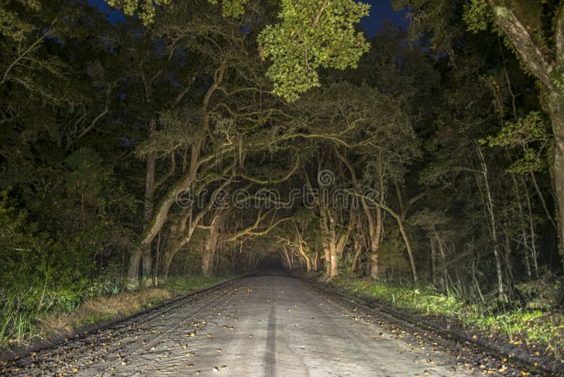 Túnel fantasmagórico espeluznante del roble en la isla de Edisto, Carolina del Sur fotografía de archivo Túnel fantasmagórico espeluznante del roble en la isla de Edisto, Carolina del Sur fotografía de archivo