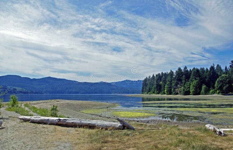 Tümmler-Bucht-BC Ansicht bei Ebbe lizenzfreie stockfotos Tümmler-Bucht-BC Ansicht bei Ebbe lizenzfreie stockfotos