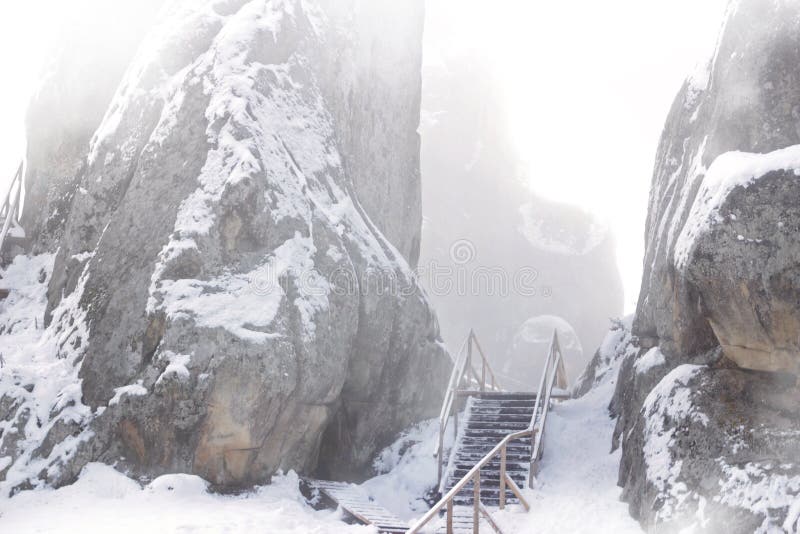 Tărâmul minunilor de iarnă, carpați ucraineni cu munți stâncoși și păduri de molid stock photos