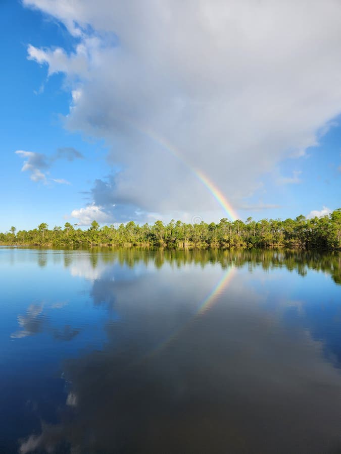 Tęcza i chmury nad jeziorem sosnowym w parku narodowym everglades. fotografia stock