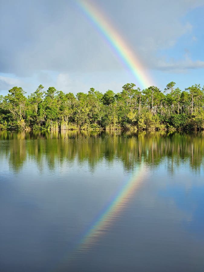 Tęcza i chmury nad jeziorem sosnowym w parku narodowym everglades. obrazy stock