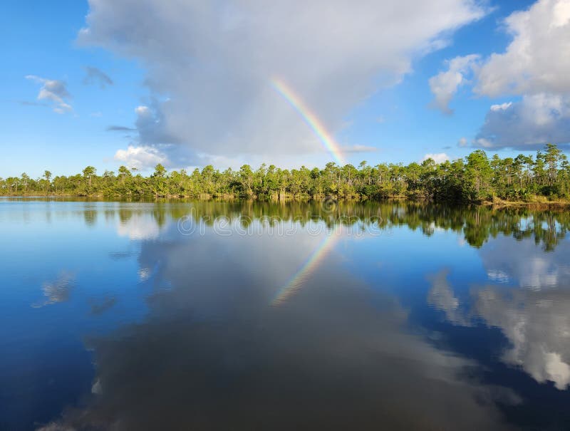 Tęcza i chmury nad jeziorem sosnowym w parku narodowym everglades. zdjęcia royalty free