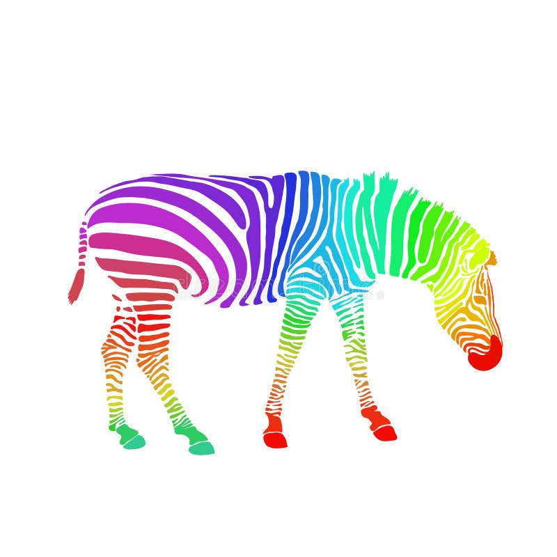 Tęczy zebra odizolowywająca na białym tle wektor royalty ilustracja