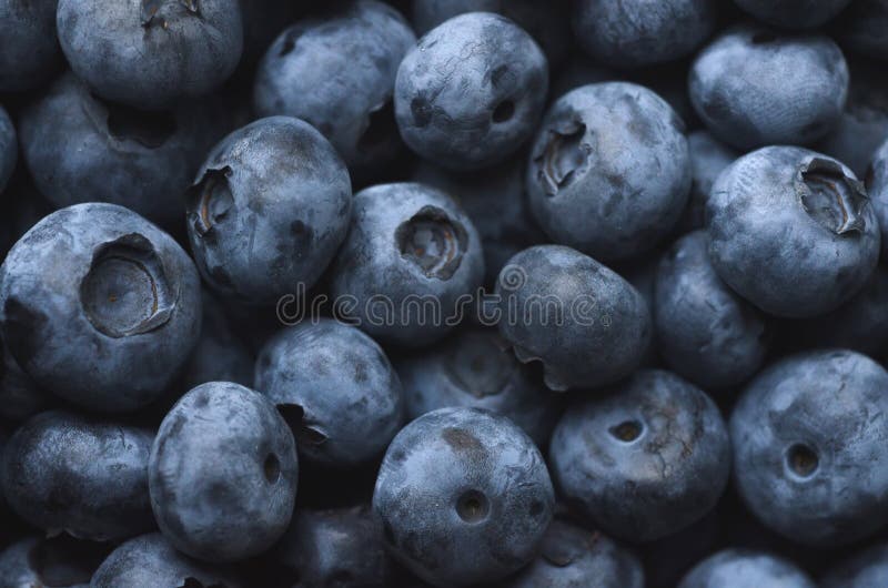 tła czarnej jagody karmowy zdrowy organicznie fotografia stock tła czarnej jagody karmowy zdrowy organicznie fotografia stock