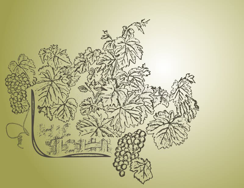 tła wino ilustracji tła wino ilustracji