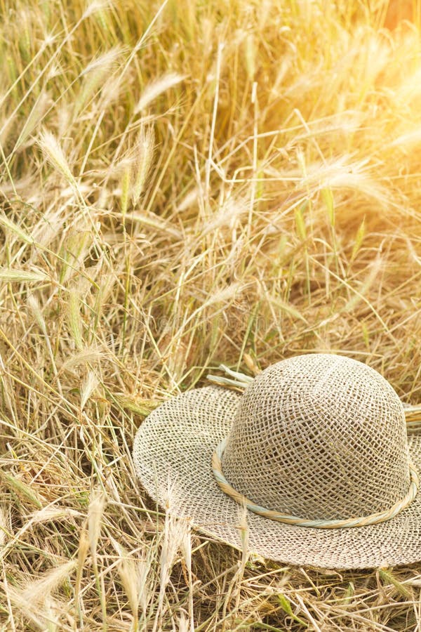 tła ścinku kapeluszu odosobnionej ścieżki słomiany biel fotografia stock tła ścinku kapeluszu odosobnionej ścieżki słomiany biel fotografia stock