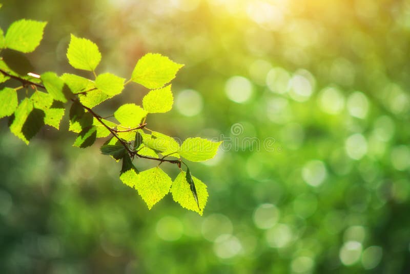 Tło bokeh zdjęcia stock