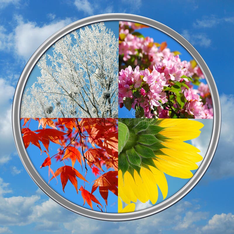 Nature collage in round shape with four seasons of the year on blue sky background. Nature collage in round shape with four seasons of the year on blue sky background