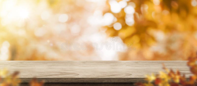 Tło jesienne Pusty stary rustykalny stół z drzewem leśnym z nasłonecznieniem,Tło jesiennego upadku, baner do wyświetlania produkt fotografia royalty free