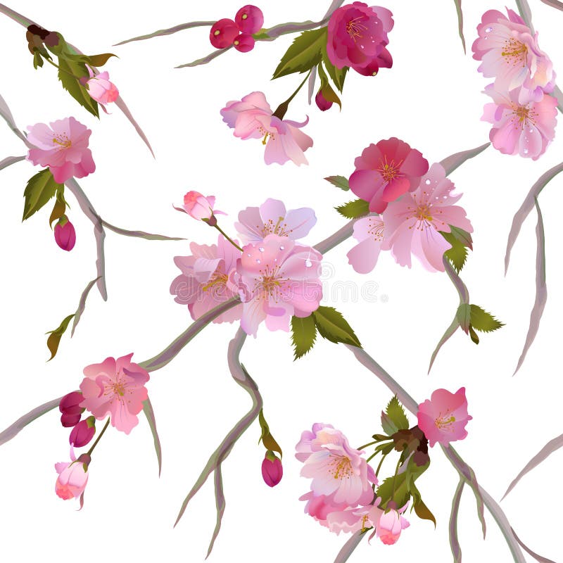 Tło kwitnie bezszwowego Sakura wektor