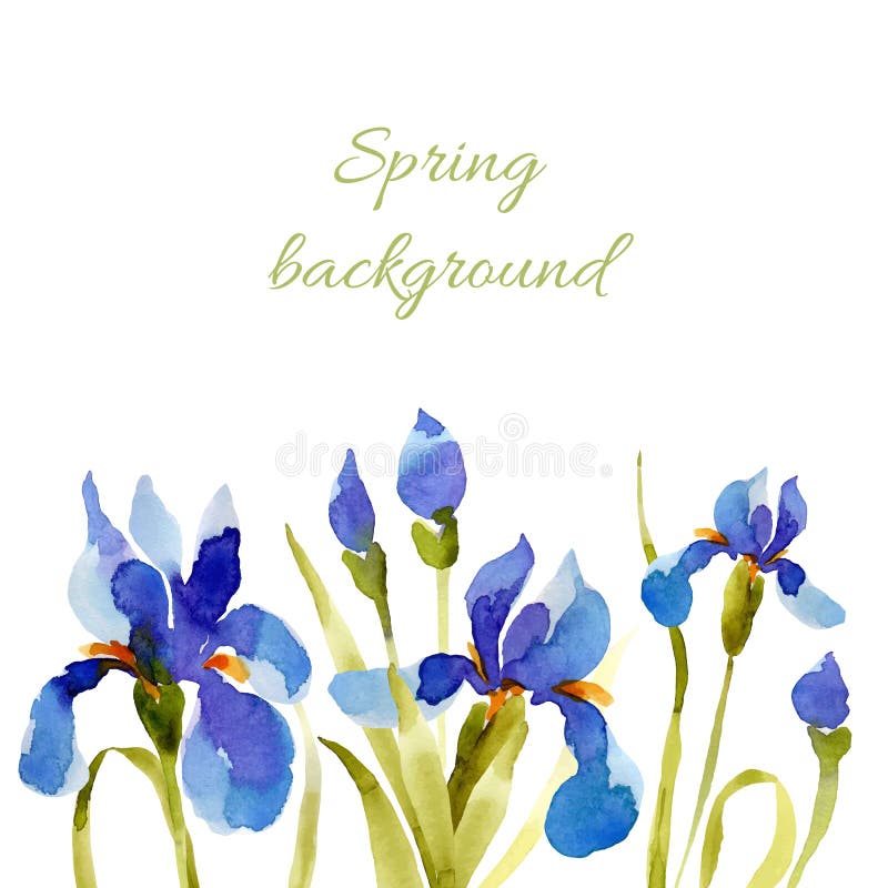tło mleczy spring pełne meadow żółty Akwarela obniża royalty ilustracja tło mleczy spring pełne meadow żółty Akwarela obniża royalty ilustracja