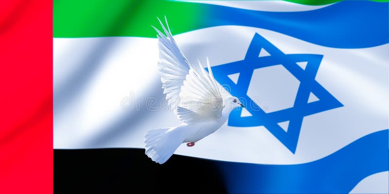 Israelflagge Mit Friedenstaube Stockfoto und mehr Bilder von