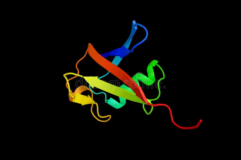 Ubiquitin (3d), a small regulatory protein that has been found i