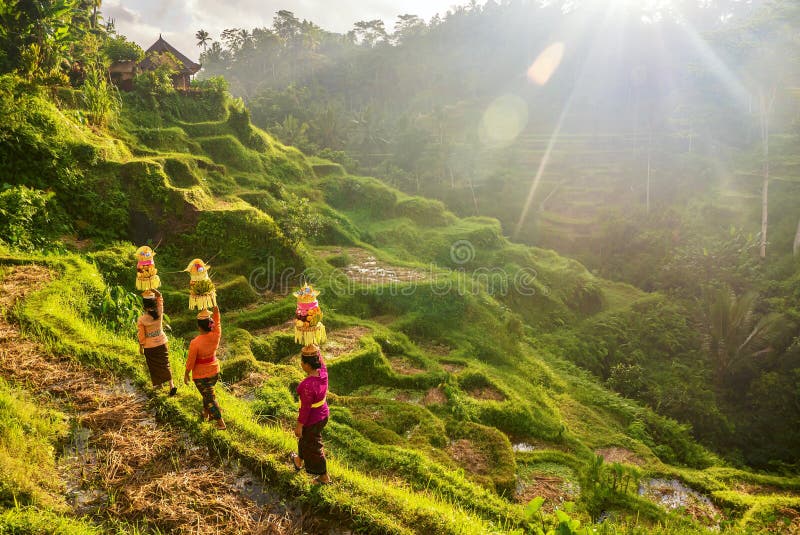 Ubud, Bali - 29. Juli 2016 Zeigen der zeremoniellen Kleidungs und der Körbe der traditionellen Balinesefrauen von Angeboten des h lizenzfreie stockfotos Ubud, Bali - 29. Juli 2016 Zeigen der zeremoniellen Kleidungs und der Körbe der traditionellen Balinesefrauen von Angeboten des h lizenzfreie stockfotos