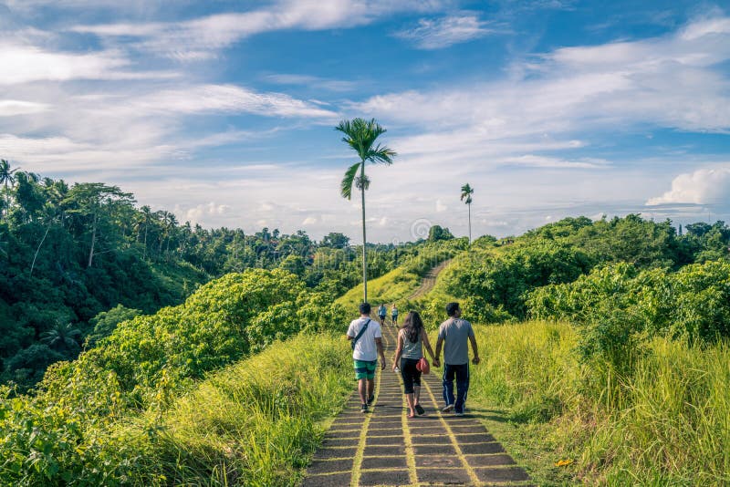 Ubud, Μπαλί, Ινδονησία - τον Ιανουάριο του 2019: τουρίστας που παίρνει μια οργανωμένη περιήγηση του περιπάτου κορυφογραμμών σε Ub στοκ εικόνες Ubud, Μπαλί, Ινδονησία - τον Ιανουάριο του 2019: τουρίστας που παίρνει μια οργανωμένη περιήγηση του περιπάτου κορυφογραμμών σε Ub στοκ εικόνες