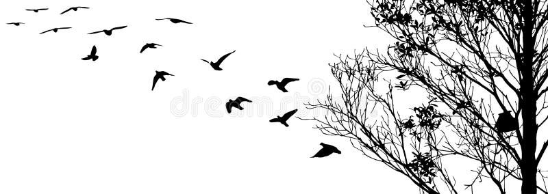 Uccelli di volo e siluette del ramo su fondo bianco royalty illustrazione gratis Uccelli di volo e siluette del ramo su fondo bianco royalty illustrazione gratis