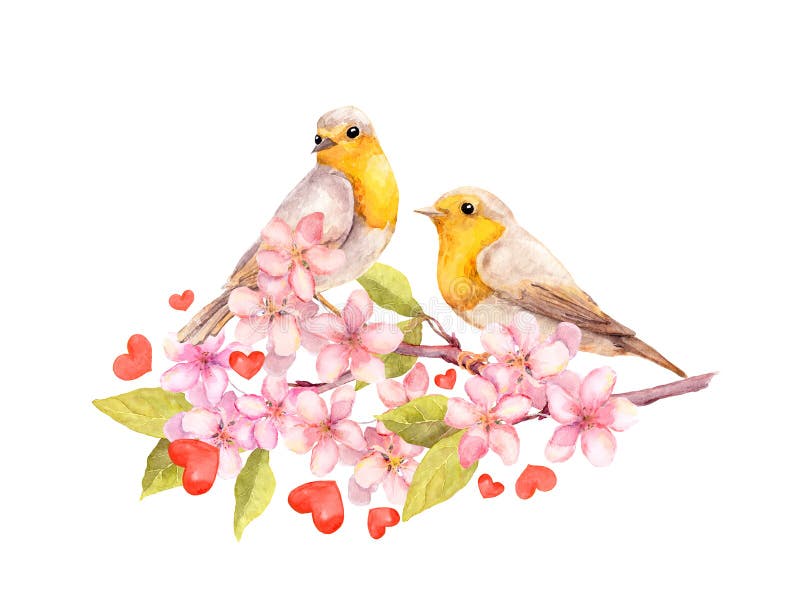 Uccelli sul ramo del fiore con i fiori watercolour illustrazione di stock Uccelli sul ramo del fiore con i fiori watercolour illustrazione di stock