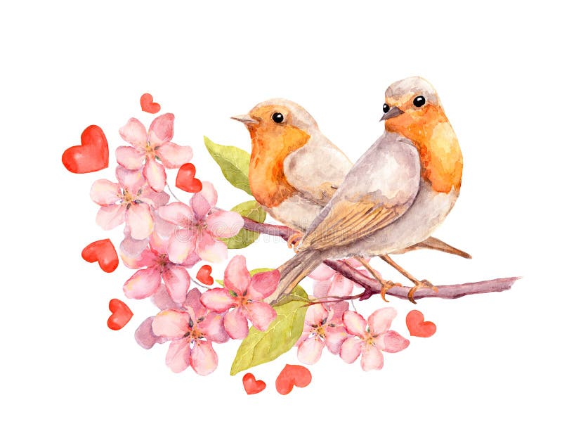 Uccelli sul ramo di fioritura con i fiori watercolor illustrazione vettoriale Uccelli sul ramo di fioritura con i fiori watercolor illustrazione vettoriale