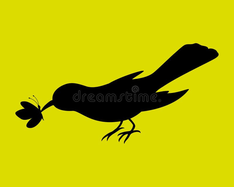 Uccello Che Mangia Farfalla Illustrazione Vettoriale Illustrazione di