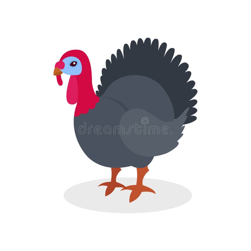 Uccello nero del tacchino, illustrazione di vettore di avicoltura su un fondo bianco illustrazione di stock Uccello nero del tacchino, illustrazione di vettore di avicoltura su un fondo bianco illustrazione di stock